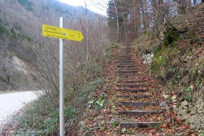 Einstieg Buchensteig