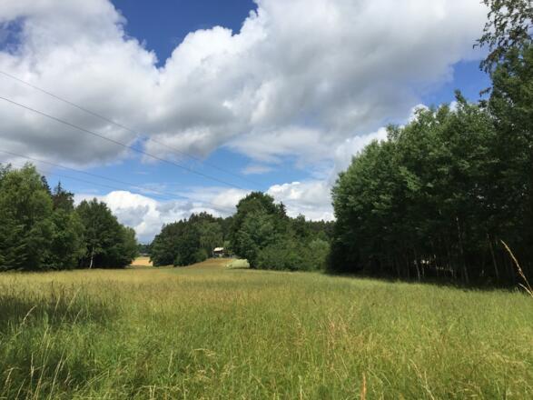 Sittenbach Richtung Langengern