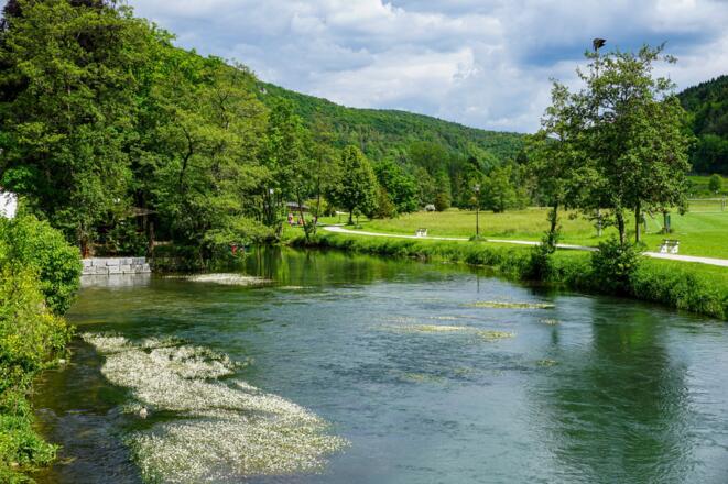 Die Wiesent nahe der Gaststätte Brückla in Muggendorf