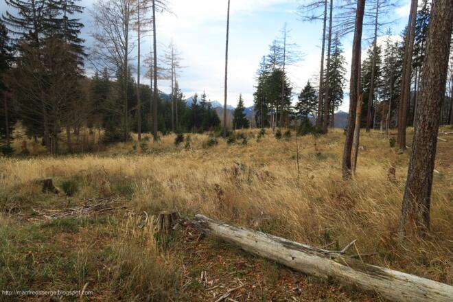 Zöbelboden