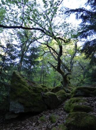 Auf dem Klettersteig Richtung Jägerkreuz...