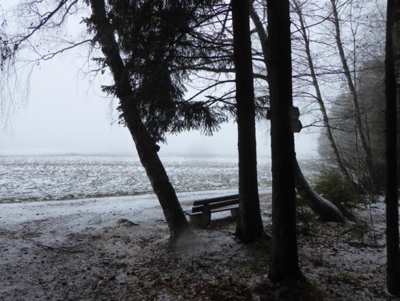 Rastbänke gibt es auch