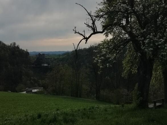 Blick zur Ruine Lichtenhag