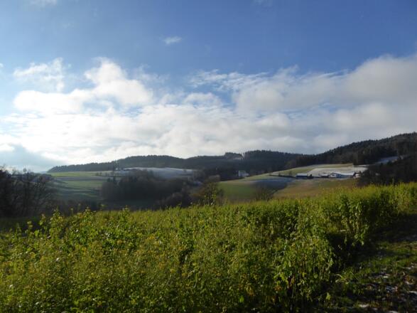 Weitsicht bei Wullendorf