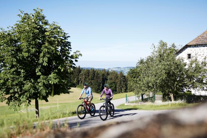 MuehlviertlerAlmFreistadtMountainbikePaarKastanienbaum_OberoesterreichTourismusGmbHAlexanderKaiser.jpg