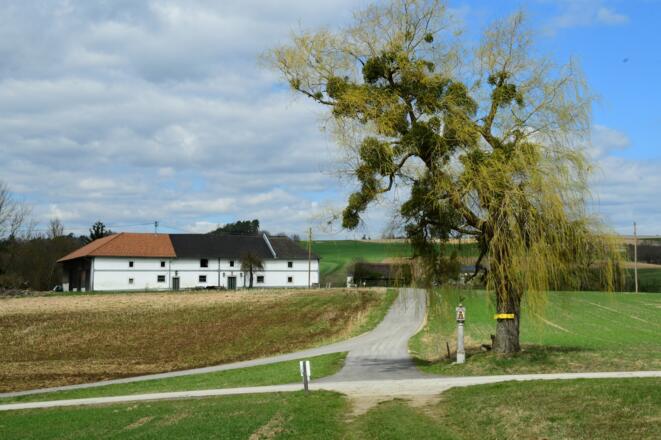 Umgebung vom kleinen Ort Altenhaus