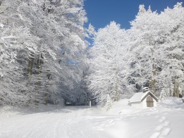 Start Richtung Norden/Schuhfleck