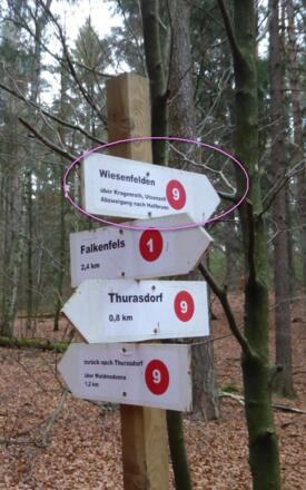 Kurz nach Roth dem Wanderweg 9 nach Kragenroth folgen