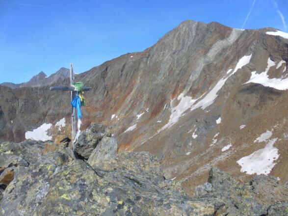 Wilder Freiger vom Roten Grat