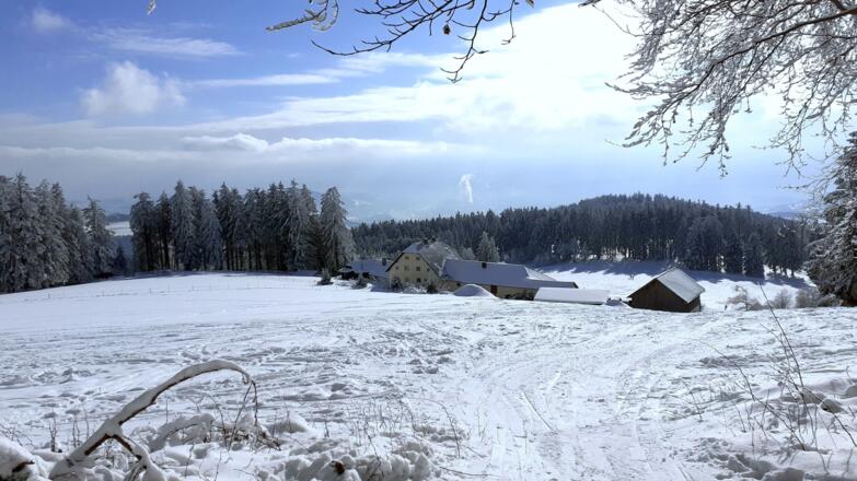 Blick über das Giselahaus nach SO