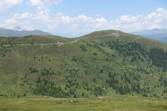 Grenzkammstraße zum Sattelberg