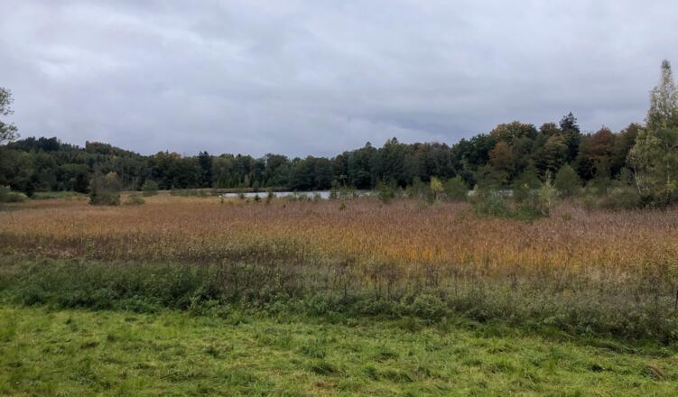 Waldweiher bei Dietramszell