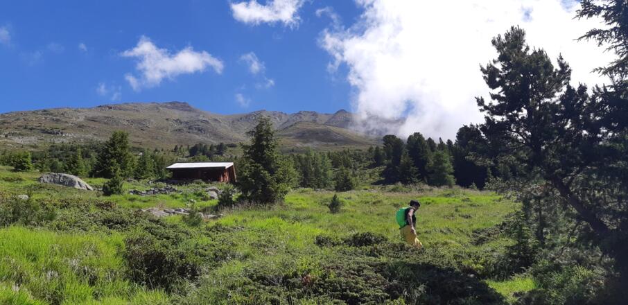 ... wir erreichen nach ca. 300 Hm die ...