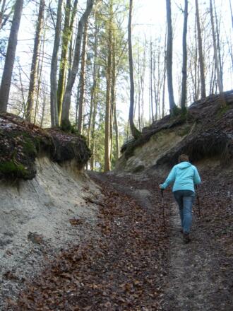 Hohlweg zum Sattel