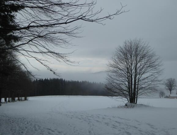 Blick Richtung Loderwinkl
