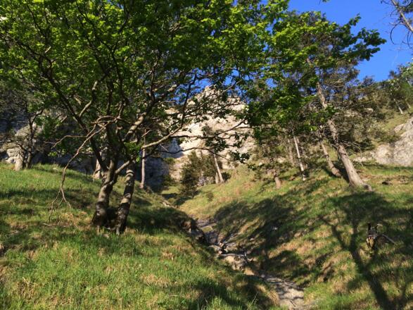 Aufstiegspfad in der Schlucht direkt unterhalb vom Nockstein