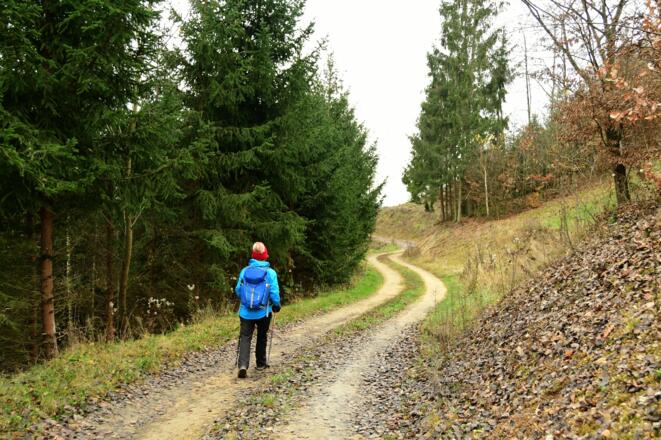 Höhenweg nach dem Riegler Kreuz