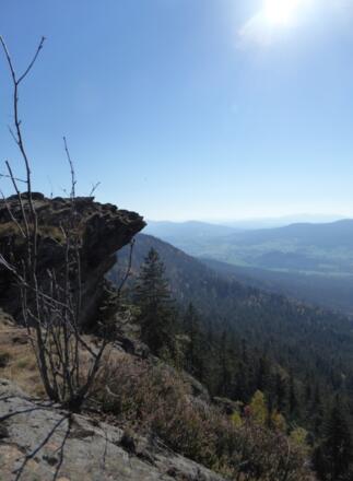 Steinbühler Gesenke