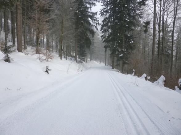 Lange Abfahrt nach der Abzweigung der Serpentinen-Loipe