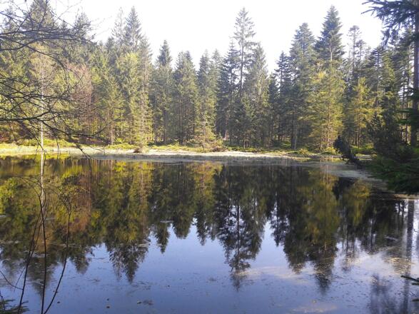 Grimmeisenweiher