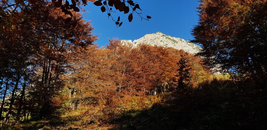 Herbst! Die beste Wanderzeit im Jahr und für mich die Schönste!