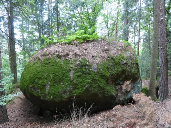 Die Welt mir Bäumen als Haarbewuchs :-).