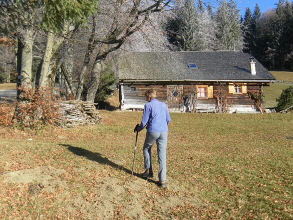 Sattelalm