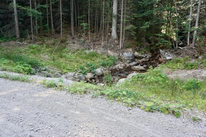 Bachüberfahrt mit günstiger Trinkflaschen-Tankstelle nach Regenhütte