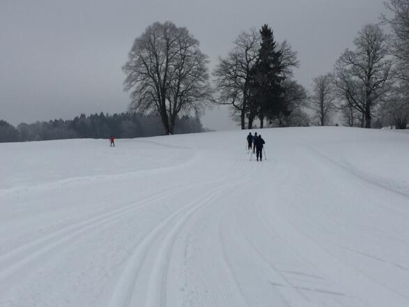 Und noch mal bergauf.