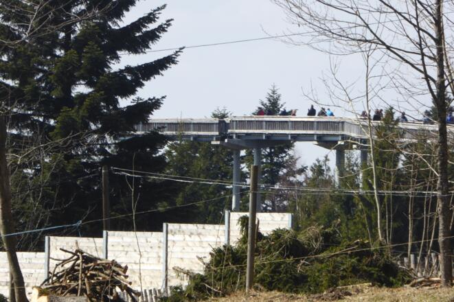 Waldwipfelweg Maibrunn