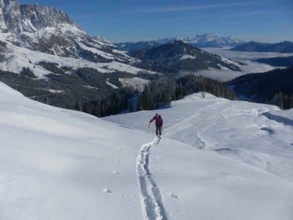 Mandlwände und Dachstein aus dem Ostrücken