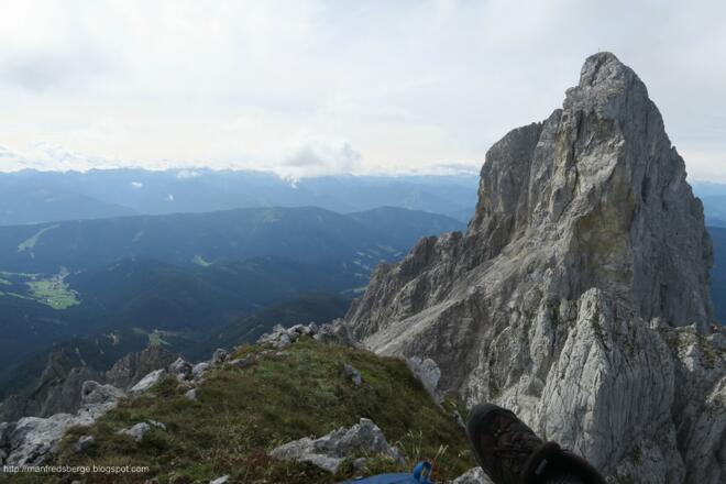 Große Bischofsmütze