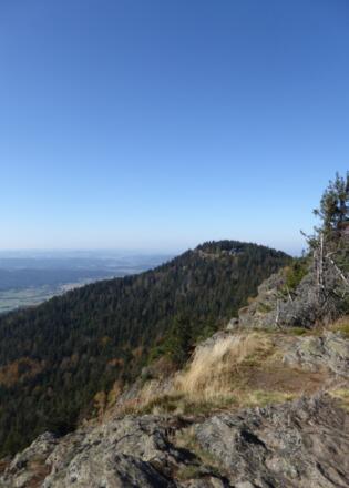 Steinbühler Gesenke