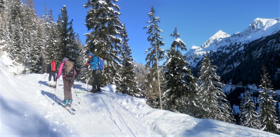 Güterweg zur Gastalm