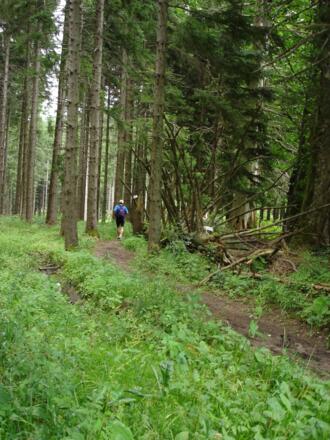 "Flowiger Single Trail" nach der Lechner Hütte