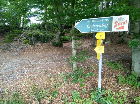ca. 100m nach dem Aussichtspunkt geht es noch ca. 300m zur Jausenstation Eschernhof