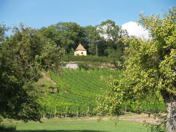 Wengertshäusle bei Markt Einersheim
