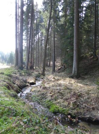 am Großen Leithenbach geht es hinunter ins Tal