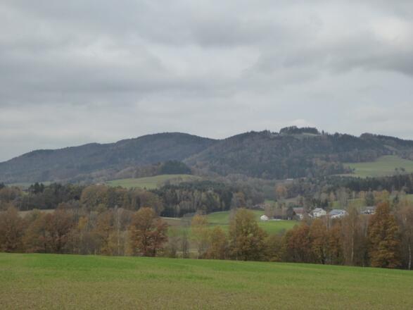 Blick auf den Gallner