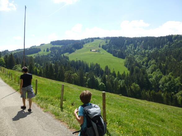 Blick zur Hirnbeinalpe und der Aufstiegsflanke zur Salmaser Höhe
