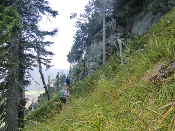 Der aufgelassene Weg vom Spitzingsattel zur Jägerbauernalm