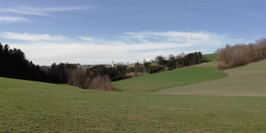 Blick über die Felder nach Gramastetten