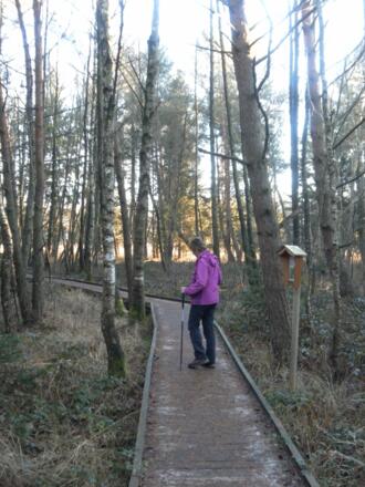 am Moorlehrpfad