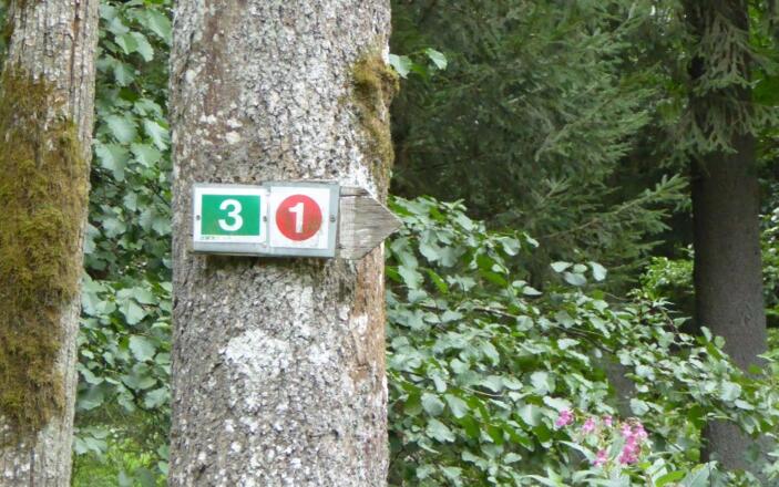 Wegmarkierung "Rote 1"