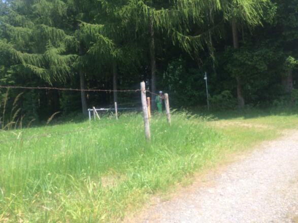 Schranke, kann man unten durch