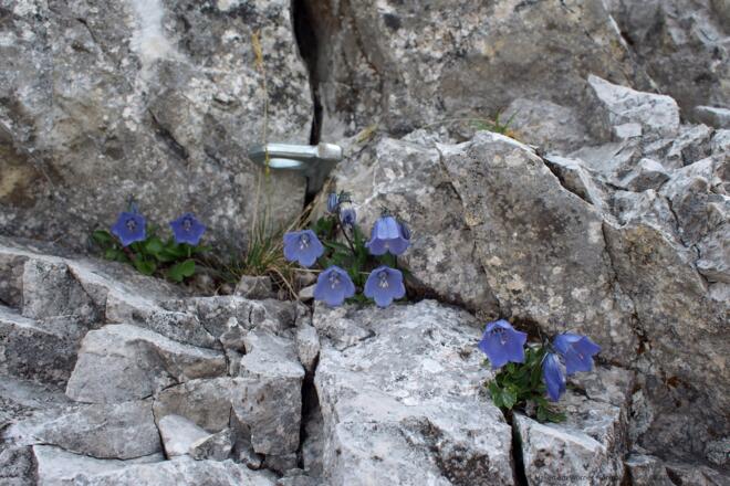 Haken am Wörner-Normalweg