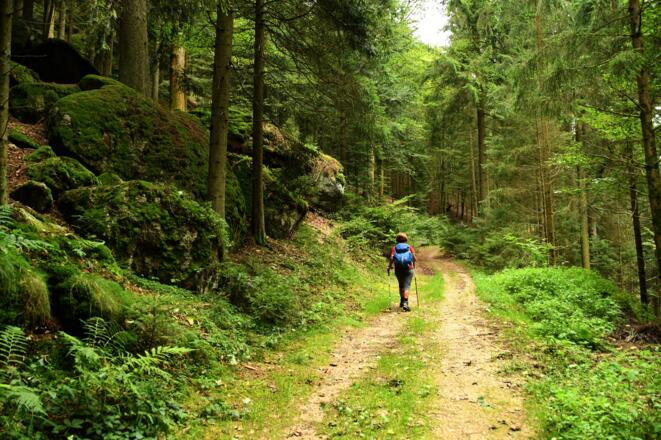 Der "Burgen-und Schlösserweg" kurz vor dem Augenbründl