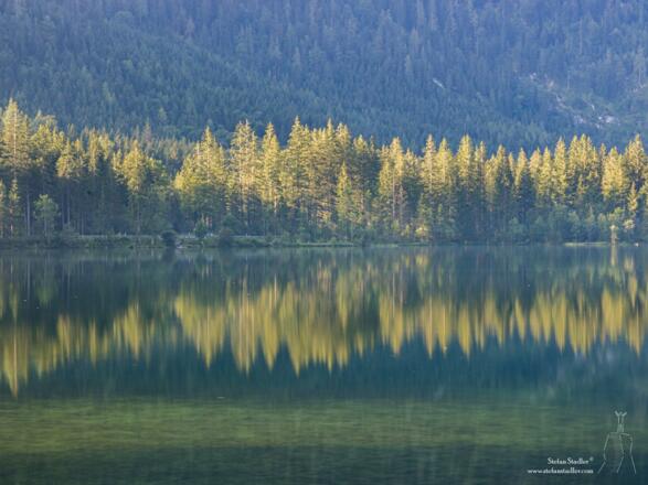 Spiegelung am Hintersee.