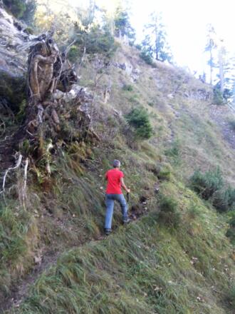 Steilflanke des Nordgrates