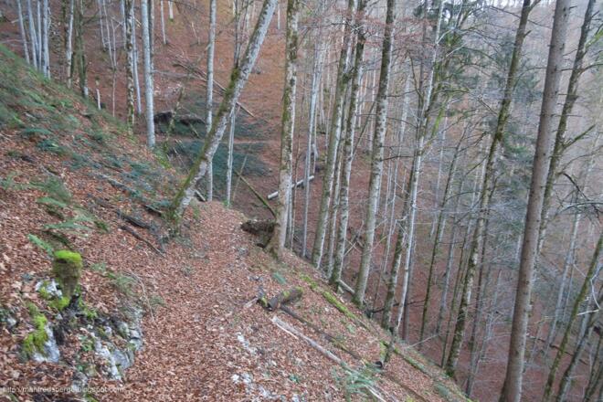 Lange querender Steig